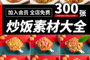 Z480-蛋炒饭炒面外卖美食菜品高清图片小吃店美团饿了么菜海报设计素材